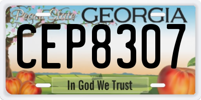 GA license plate CEP8307