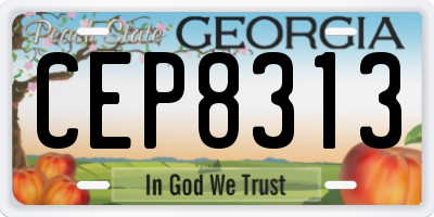 GA license plate CEP8313