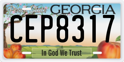 GA license plate CEP8317