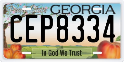 GA license plate CEP8334