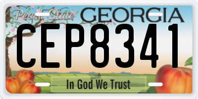 GA license plate CEP8341
