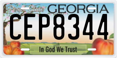 GA license plate CEP8344