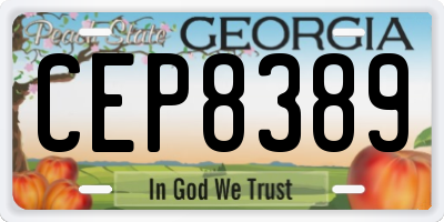 GA license plate CEP8389