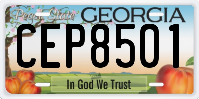 GA license plate CEP8501