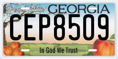 GA license plate CEP8509