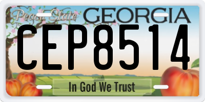 GA license plate CEP8514