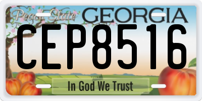 GA license plate CEP8516