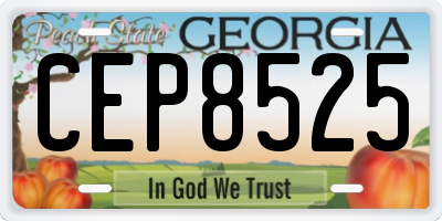 GA license plate CEP8525
