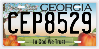 GA license plate CEP8529