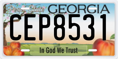 GA license plate CEP8531