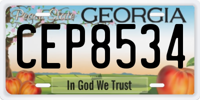 GA license plate CEP8534