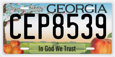 GA license plate CEP8539