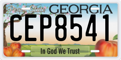 GA license plate CEP8541