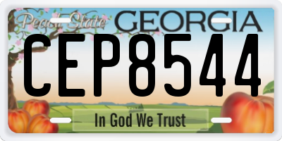 GA license plate CEP8544