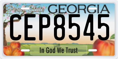GA license plate CEP8545