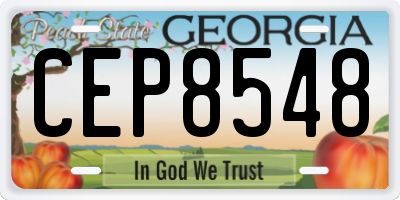 GA license plate CEP8548