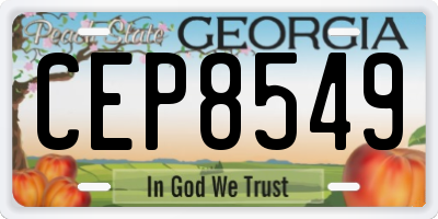 GA license plate CEP8549