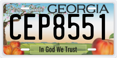 GA license plate CEP8551