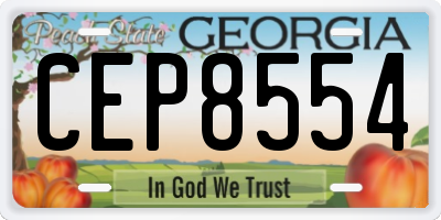 GA license plate CEP8554