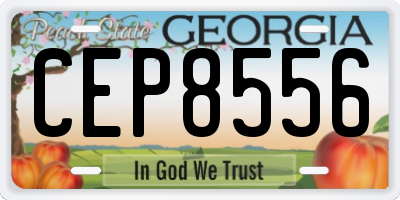 GA license plate CEP8556