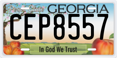 GA license plate CEP8557