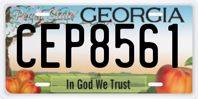 GA license plate CEP8561
