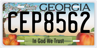 GA license plate CEP8562