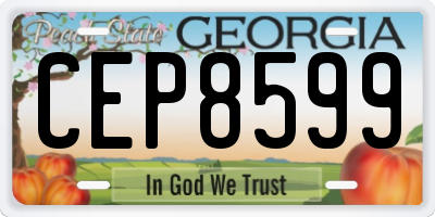 GA license plate CEP8599