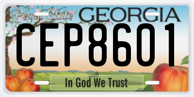 GA license plate CEP8601