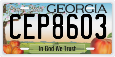 GA license plate CEP8603