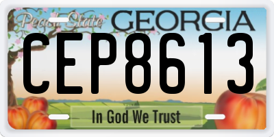 GA license plate CEP8613