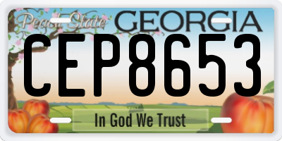 GA license plate CEP8653