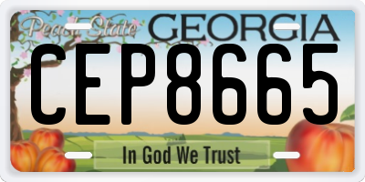 GA license plate CEP8665