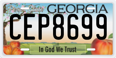 GA license plate CEP8699