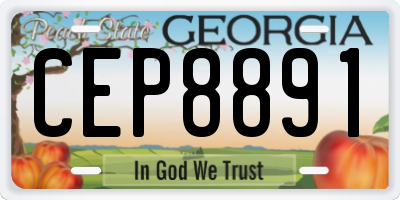 GA license plate CEP8891