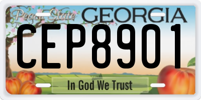 GA license plate CEP8901