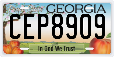GA license plate CEP8909
