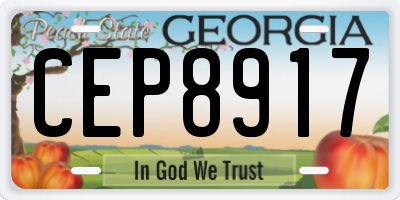 GA license plate CEP8917