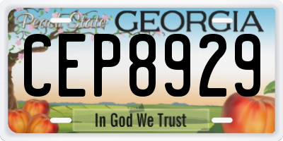 GA license plate CEP8929