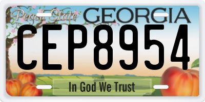 GA license plate CEP8954