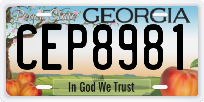 GA license plate CEP8981