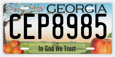 GA license plate CEP8985