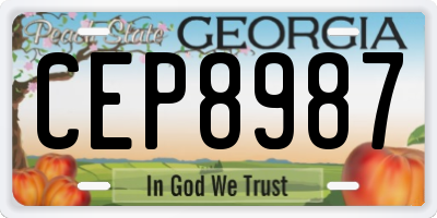 GA license plate CEP8987