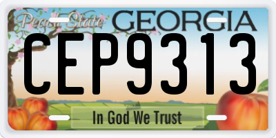 GA license plate CEP9313