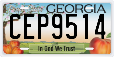 GA license plate CEP9514