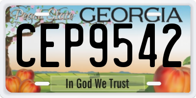 GA license plate CEP9542