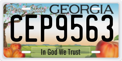 GA license plate CEP9563