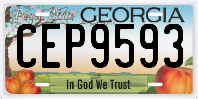 GA license plate CEP9593