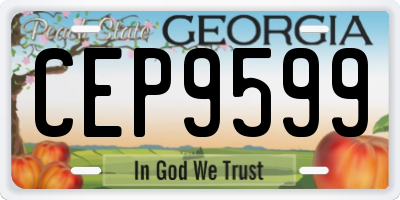 GA license plate CEP9599