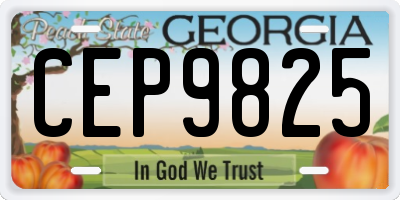 GA license plate CEP9825